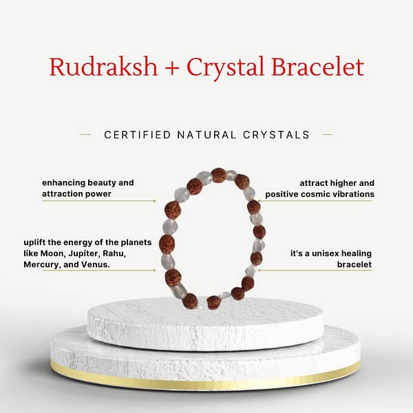 Rudraksha + Crystal Bracelet